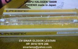 Halogen 1000w Phoenix Japan